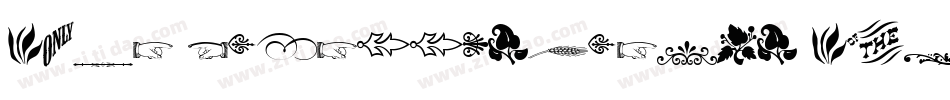 Type Embellishments Two字体转换